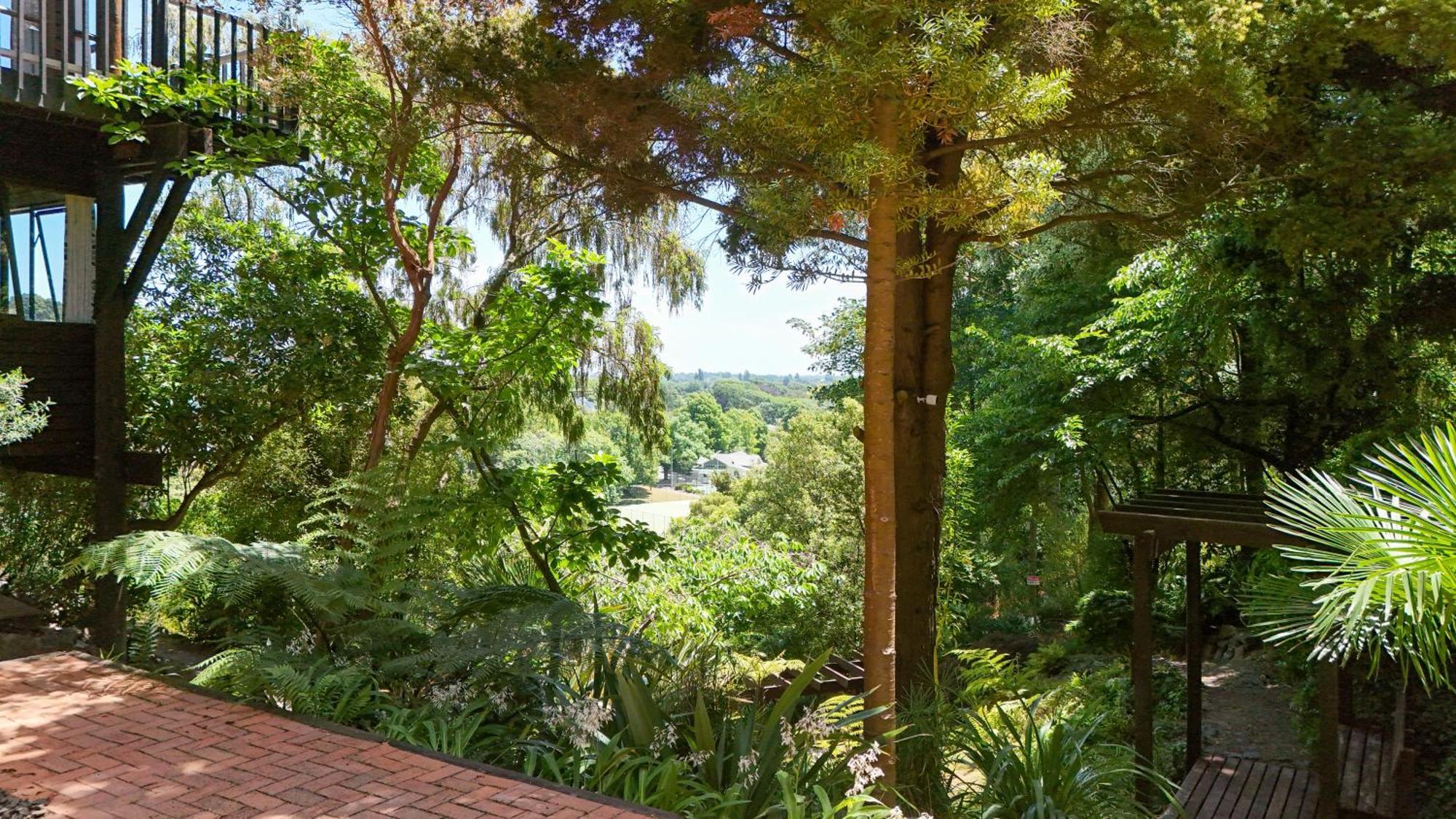 כרייסטצ'רץ' Sherwood Lodge 4-Bedroom Holiday Home With Spectacular Views מראה חיצוני תמונה
